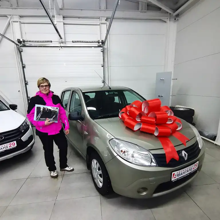 Чичагова Дарья из города Вельска купила Renault Sandero